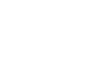 Mega Team